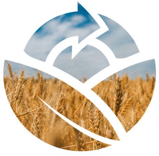 FactFlow logo